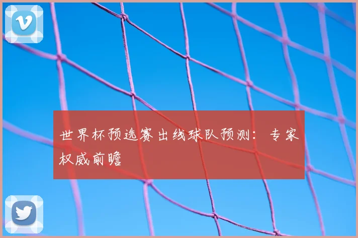 世界杯预选赛出线球队预测：专家权威前瞻