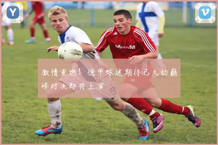 激情重燃！德甲球迷期待已久的巅峰对决即将上演