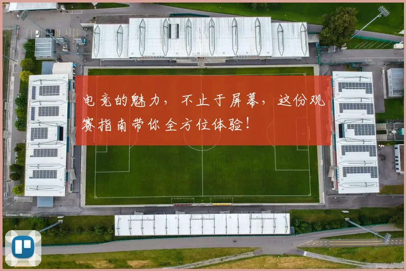 电竞的魅力,不止于屏幕,这份观赛指南带你全方位体验!