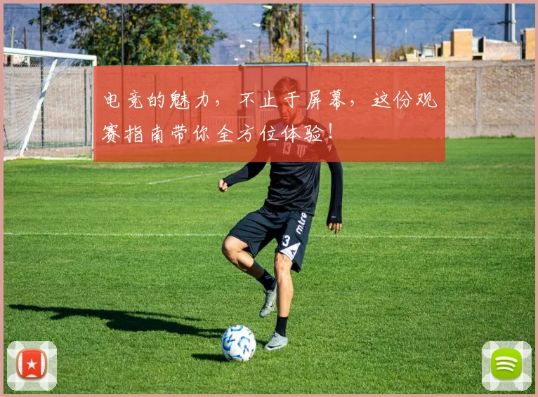 电竞的魅力,不止于屏幕,这份观赛指南带你全方位体验!