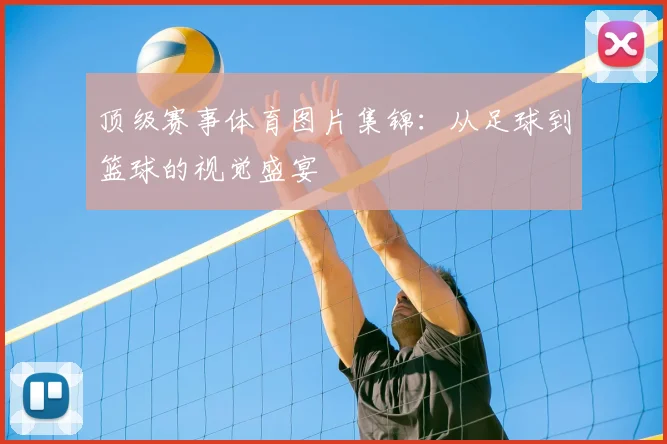 顶级赛事体育图片集锦：从足球到篮球的视觉盛宴
