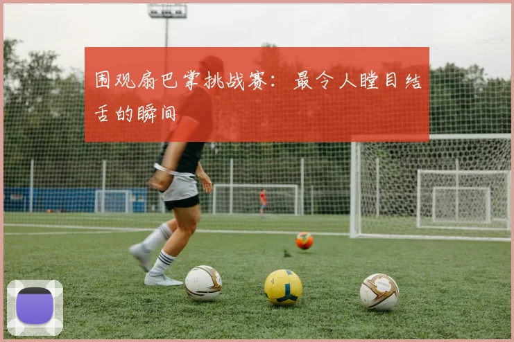 围观扇巴掌挑战赛:最令人瞠目结舌的瞬间