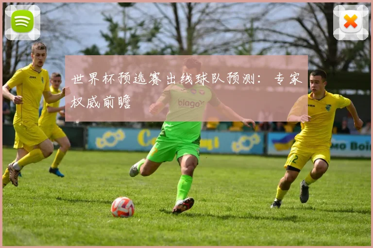 世界杯预选赛出线球队预测：专家权威前瞻