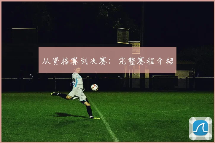 从资格赛到决赛:完整赛程介绍
